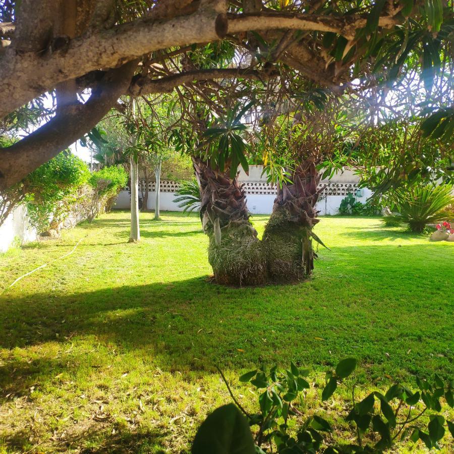 Villa Cala Llanetes Vinarós Exterior foto